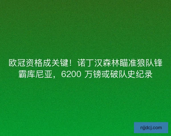 欧冠资格成关键！诺丁汉森林瞄准狼队锋霸库尼亚，6200 万镑或破队史纪录